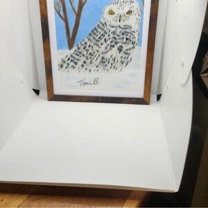 Hand Crafted Snowy Owl Colored Pencil Drawing Framed 9x11"